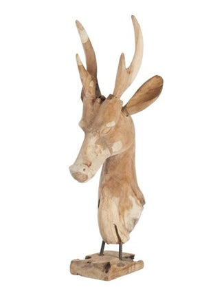 Teak head rusa